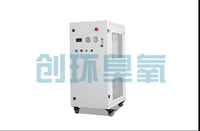 资阳工厂化养鲈必看：2026年臭氧发生器替代传统消毒的最新方案