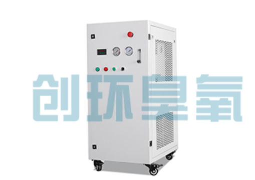 资阳石斑鱼养殖水质调控完整指南:臭氧发生器配置与操作步骤