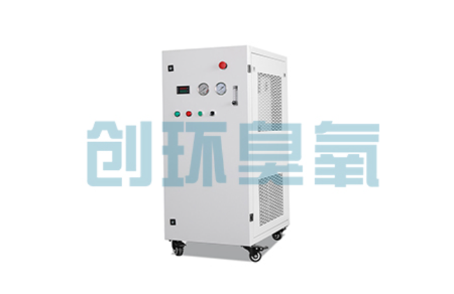 资阳比传统换水更高效?臭氧发生器在石斑鱼养殖中的水质净化原理解析